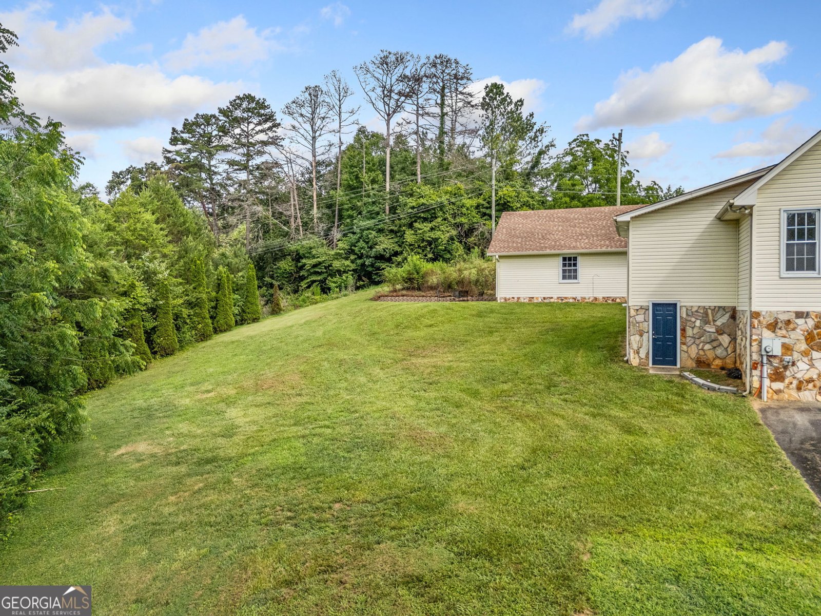 206 Piney Woods Drive Ellijay - 25