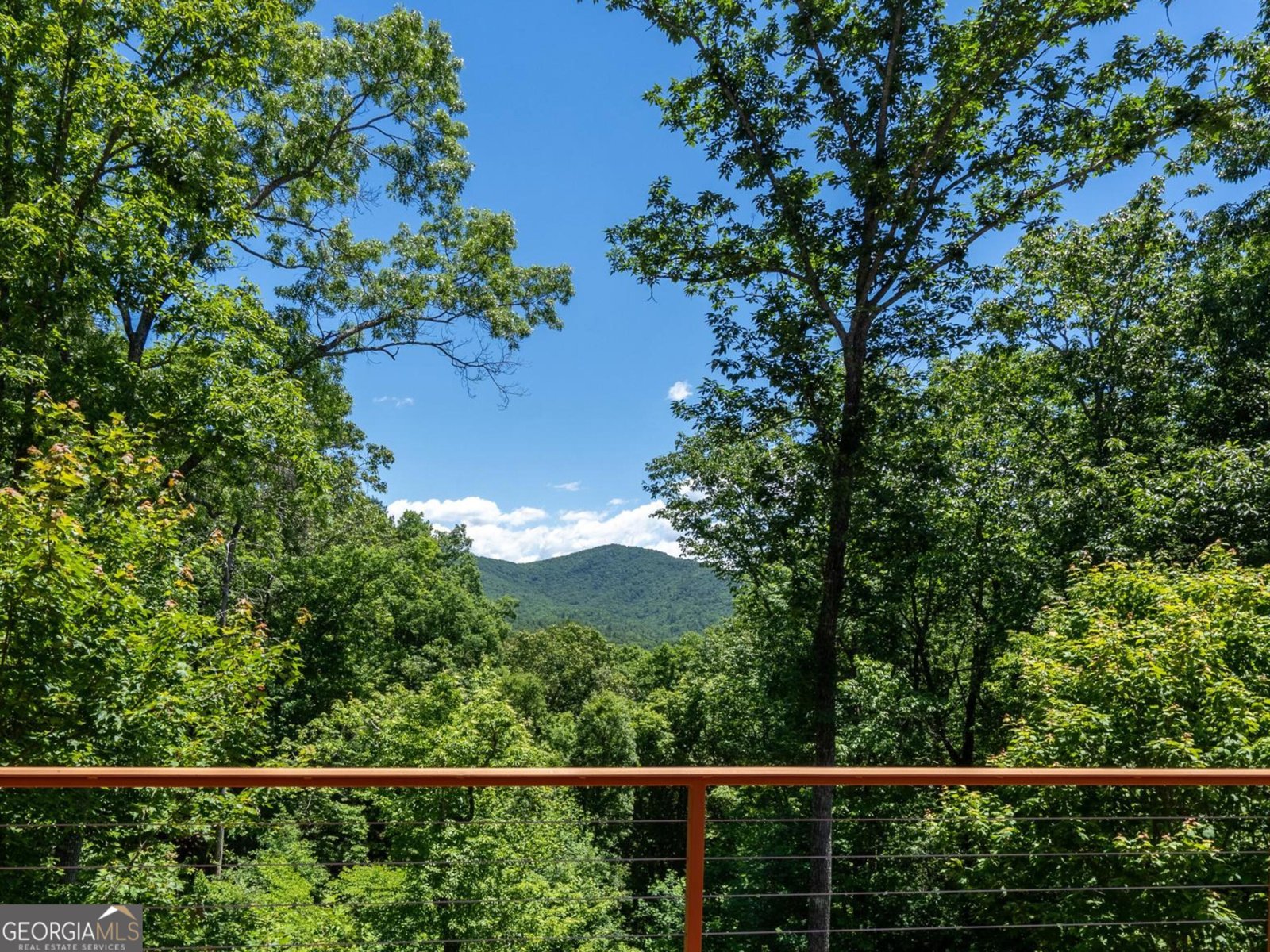 420 Hidden Acres Lane Clayton - 3