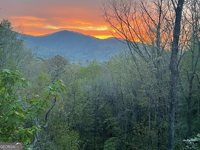 420 Hidden Acres Lane Clayton - 41