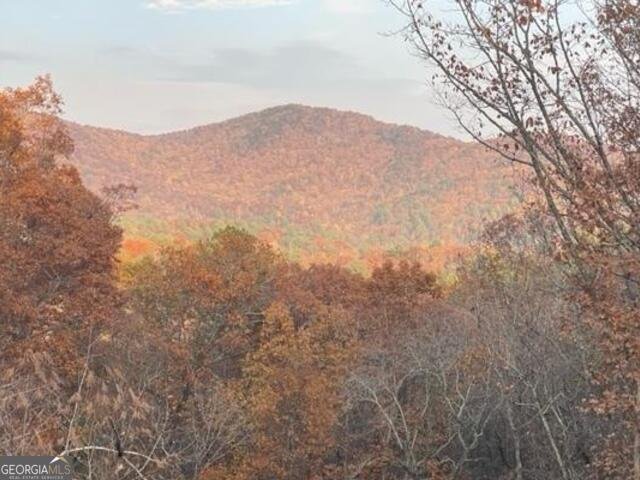 420 Hidden Acres Lane Clayton - 42
