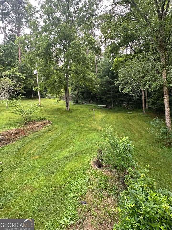 1261 Pleasant Gap Road Ellijay - 16
