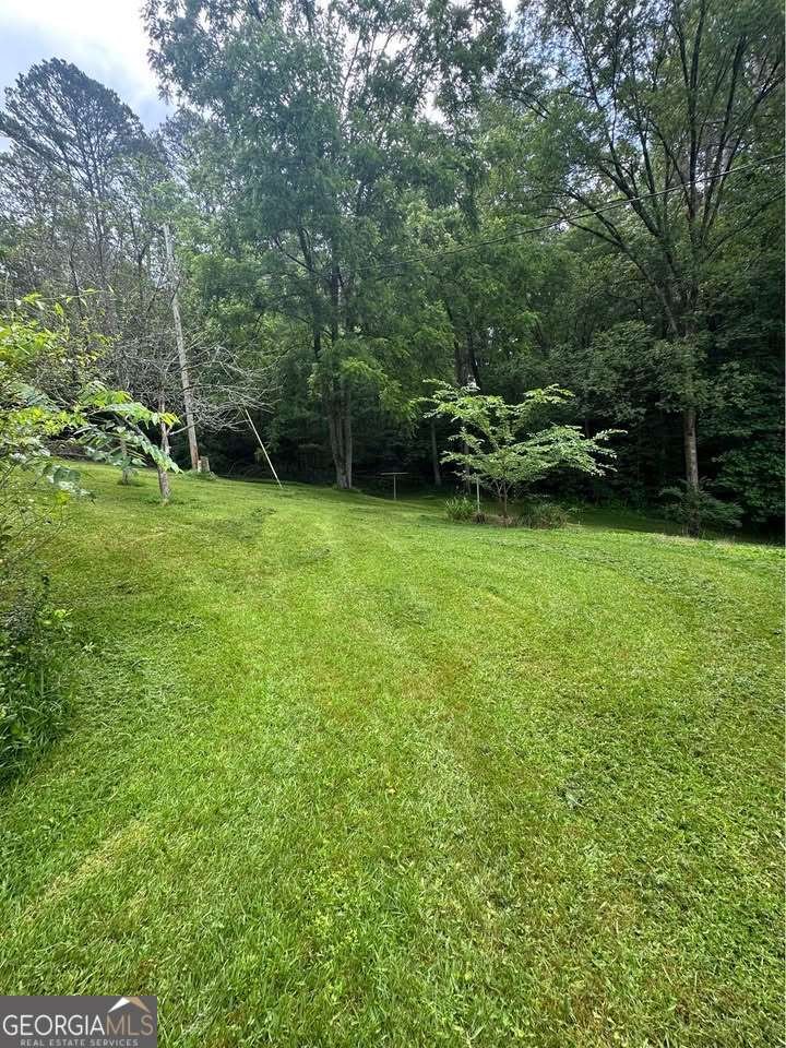 1261 Pleasant Gap Road Ellijay - 17