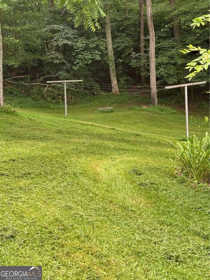 1261 Pleasant Gap Road Ellijay - 20