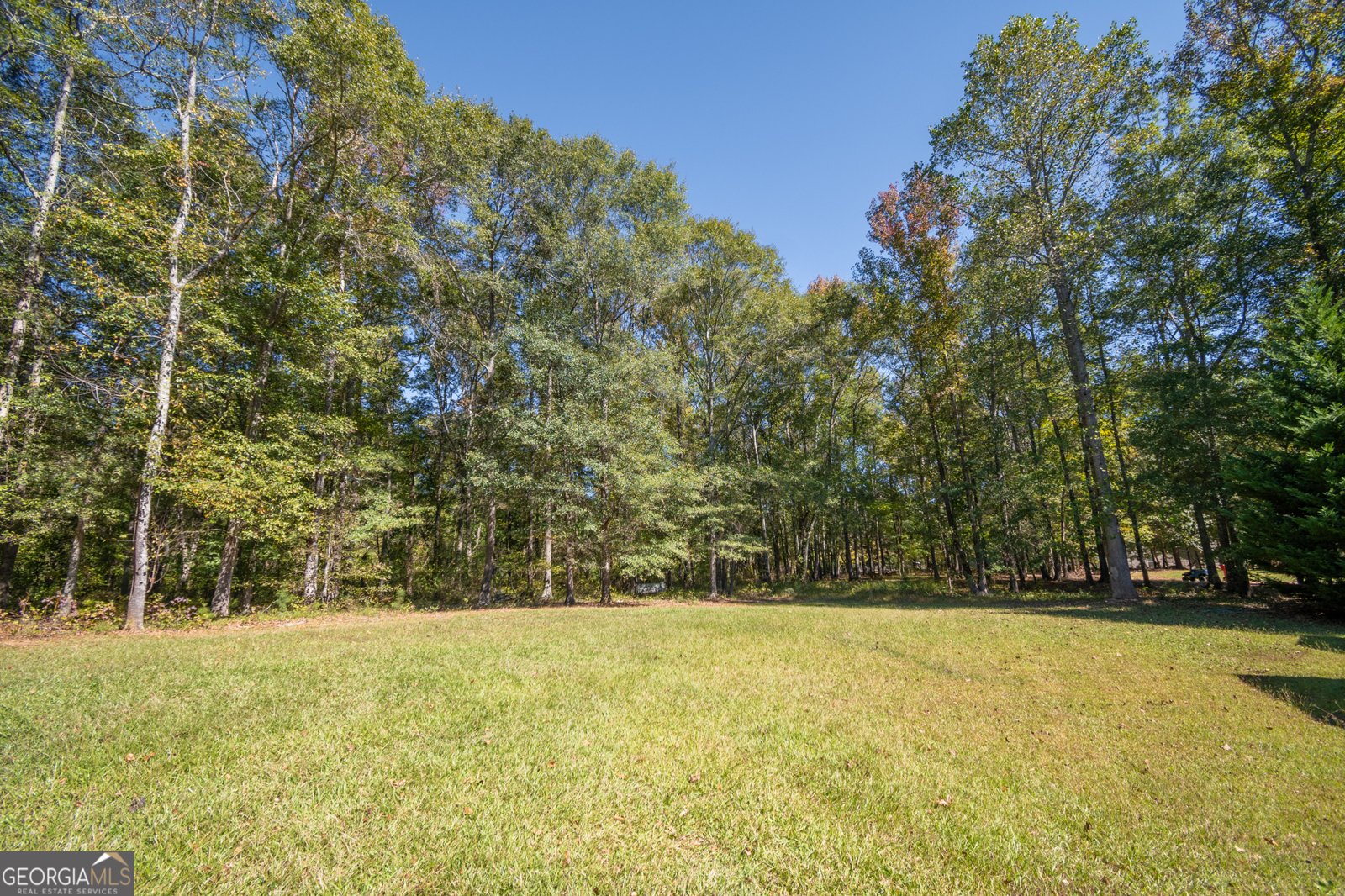 118 Mount Vernon Way Winterville - 10