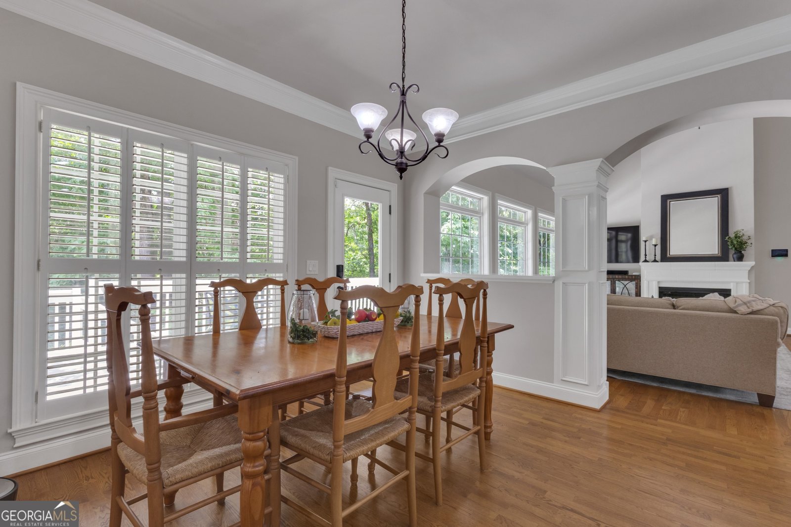1135 Astoria Lane Peachtree City - 19