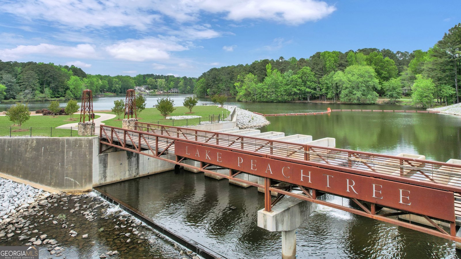 1135 Astoria Lane Peachtree City - 4
