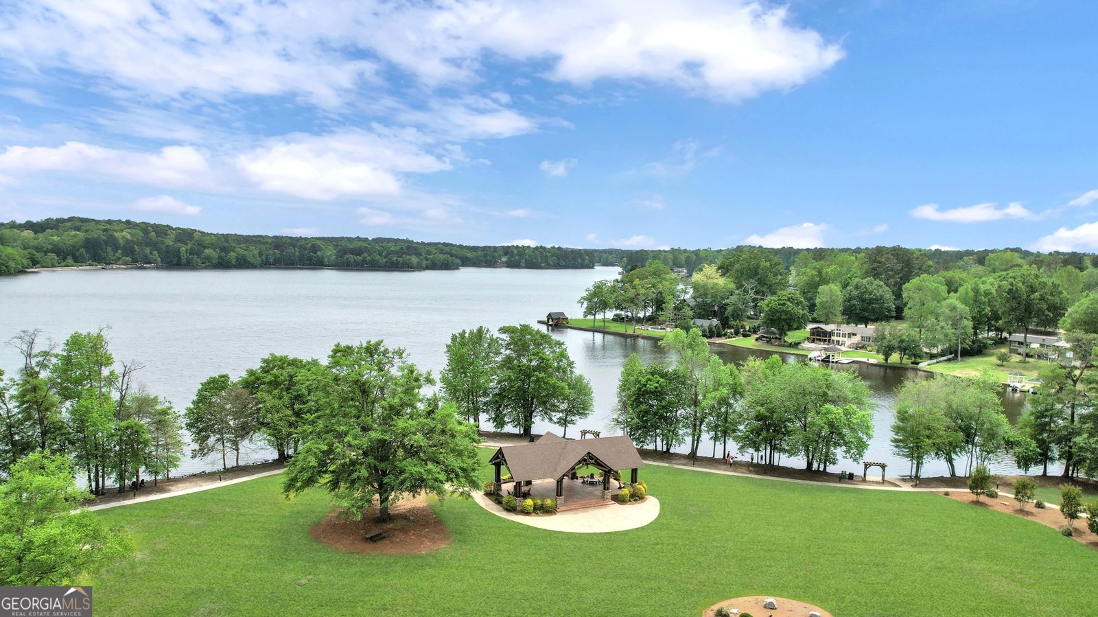1135 Astoria Lane Peachtree City - 8
