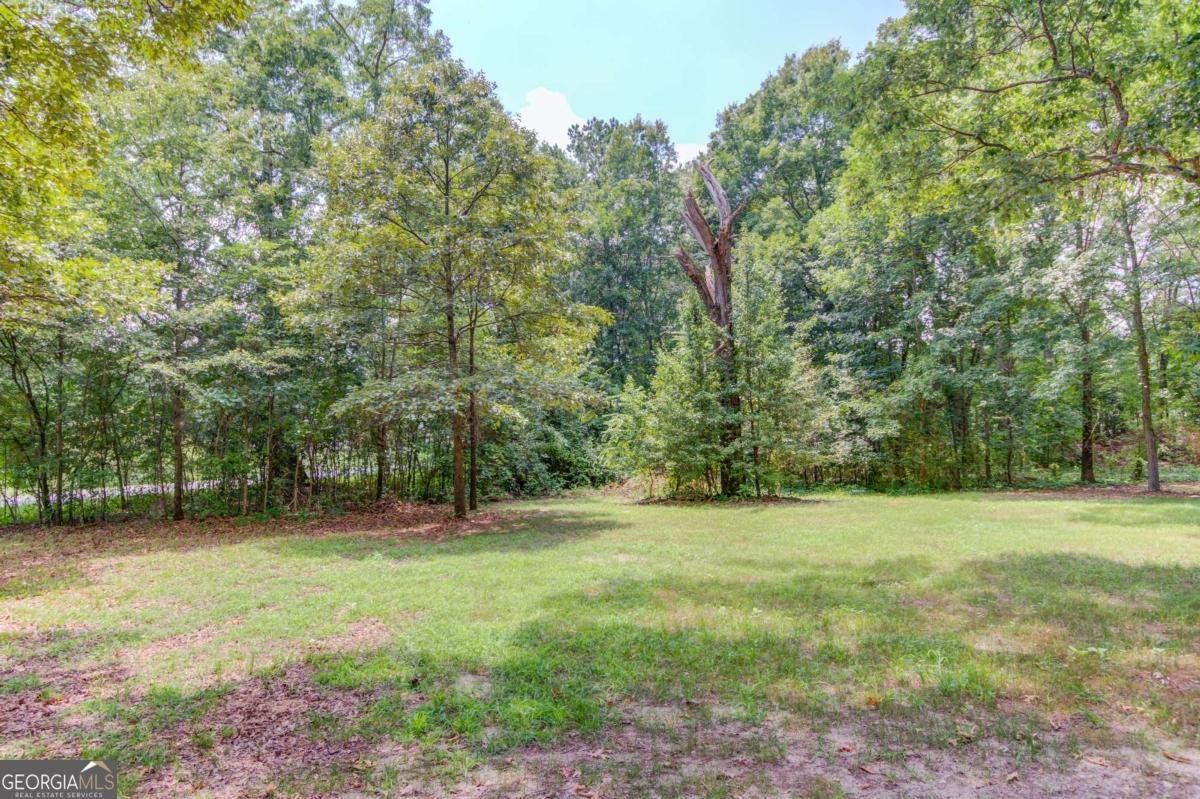 305 Punkin Junction Road Winder - 4