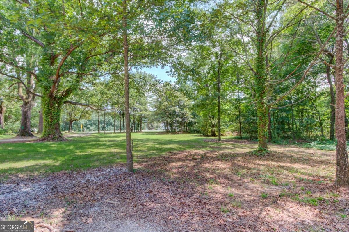 305 Punkin Junction Road Winder - 5