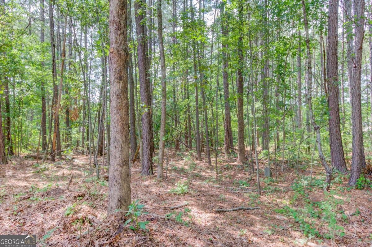 305 Punkin Junction Road Winder - 60