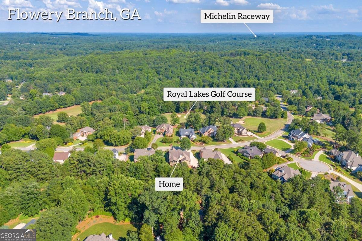 4424 Longmead Road Flowery Branch - 10