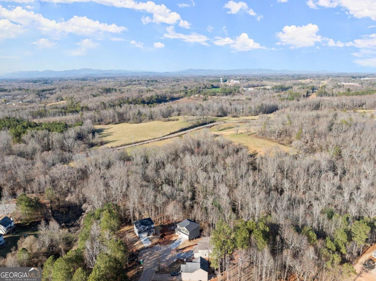 554 Creek Road Cornelia - 19