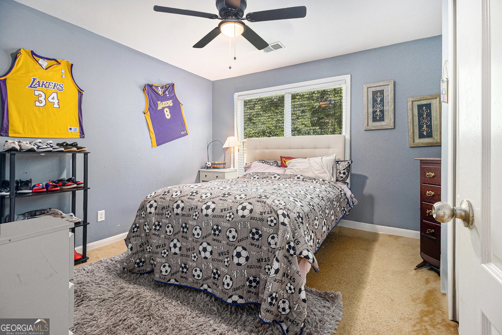 2428 Mcintosh Drive Locust Grove - 19