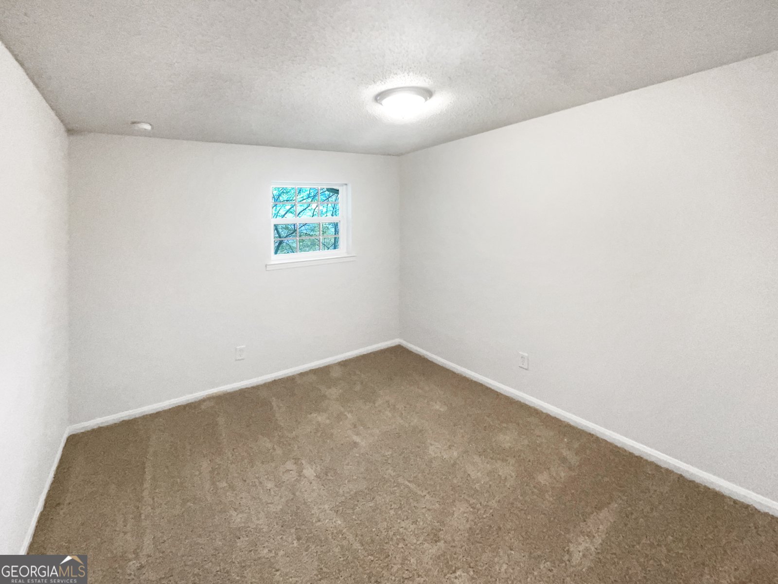 6354 Shannon Parkway Union City - 11
