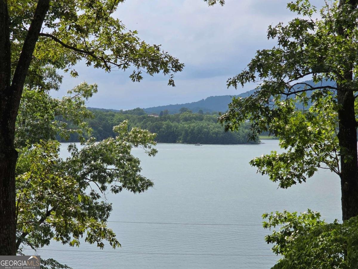 1792 Chatuge Shores Road Hiawassee - 4