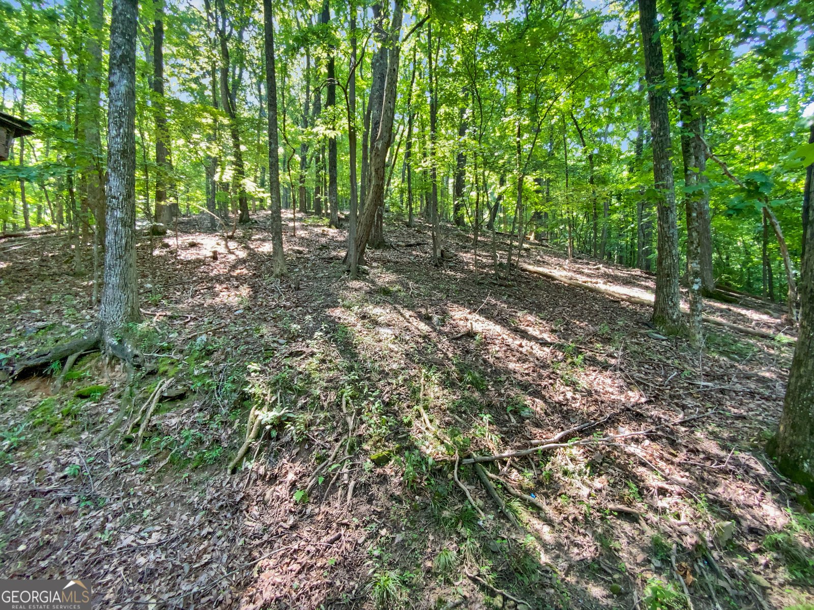 764 Chestnut Cove Trail Jasper - 19