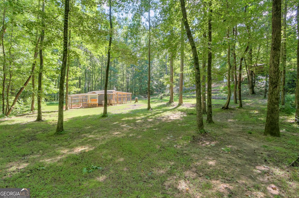 3447 Haddon Hall Court Buford - 26