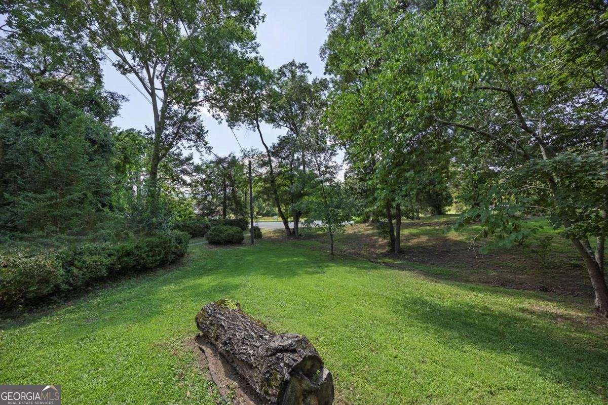 209 Blacks Bluff Road Rome - 34