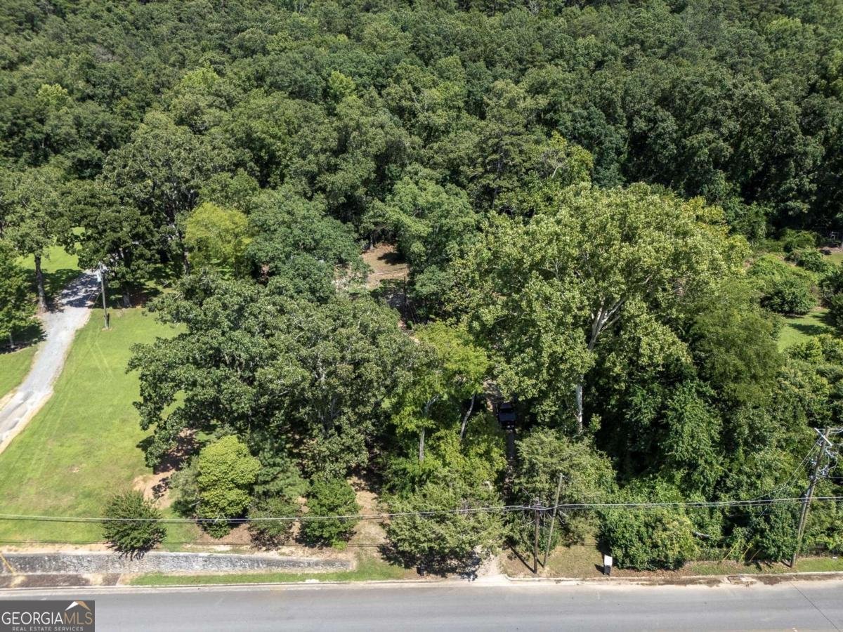 209 Blacks Bluff Road Rome - 44
