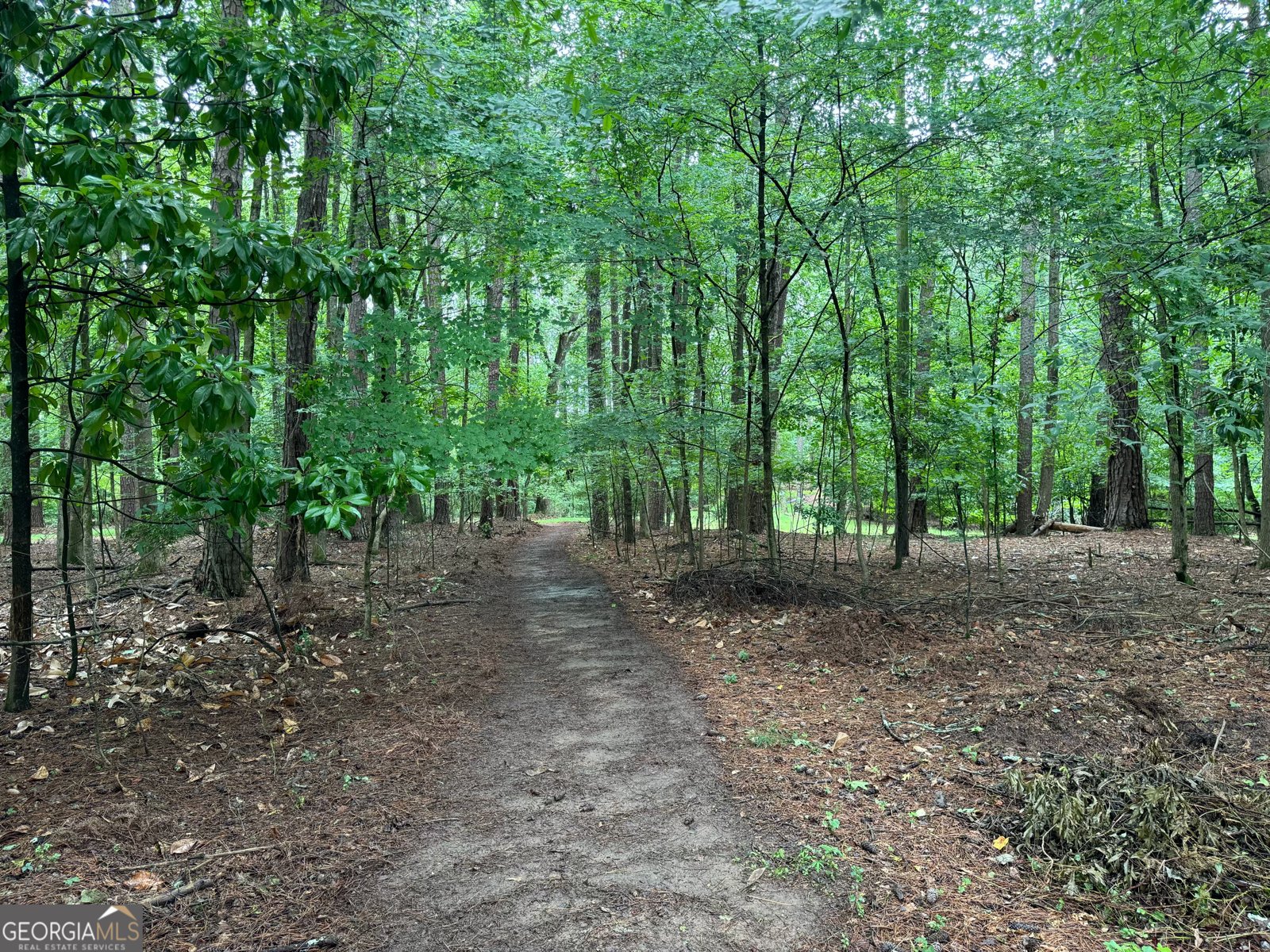 4269 Westside Drive Acworth - 35