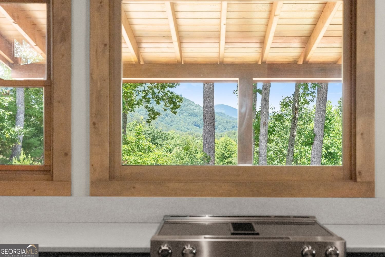 355 Ranch Mountain Drive Drive Dahlonega - 91