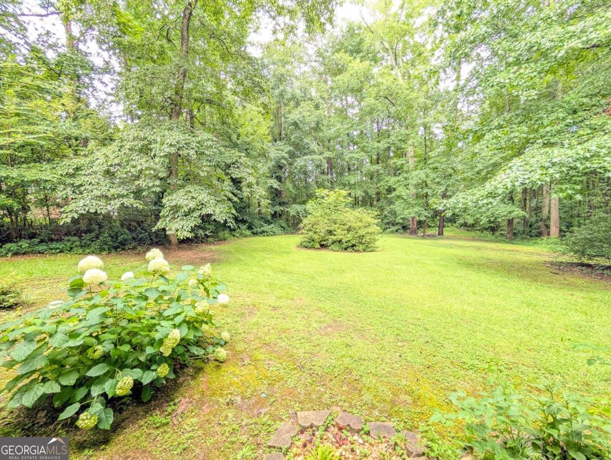 6797 Greenoak Drive Douglasville - 52
