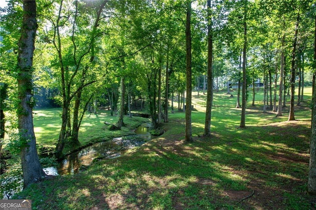 6632 Mountain Meadow Drive Clermont - 28