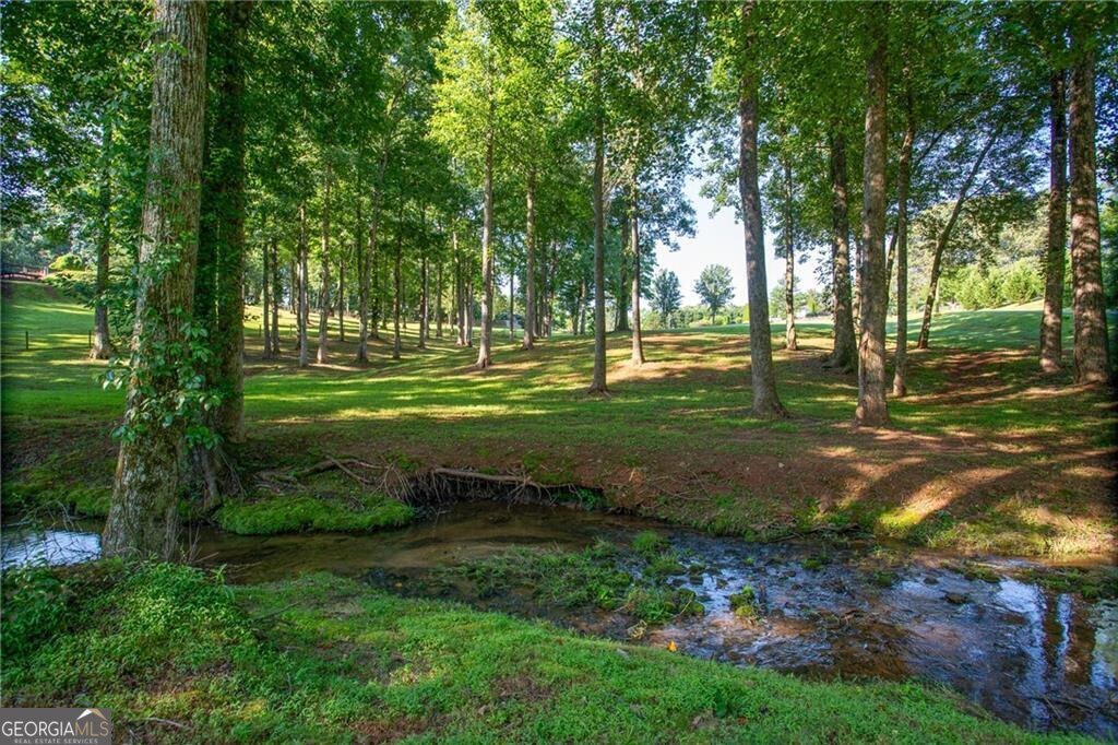 6632 Mountain Meadow Drive Clermont - 29