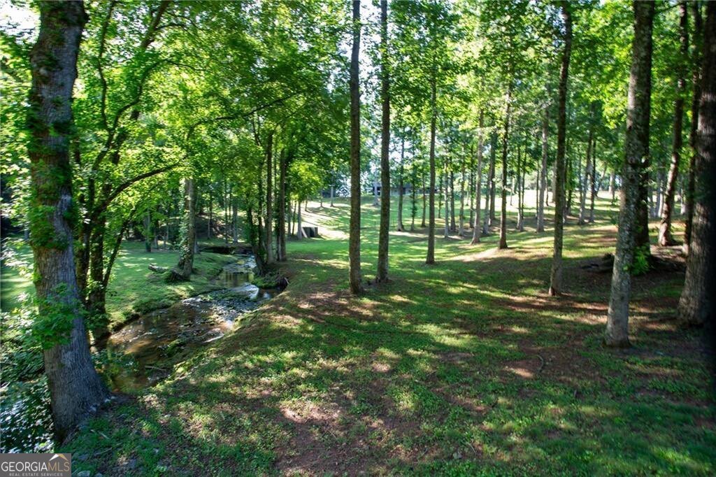 6632 Mountain Meadow Drive Clermont - 34