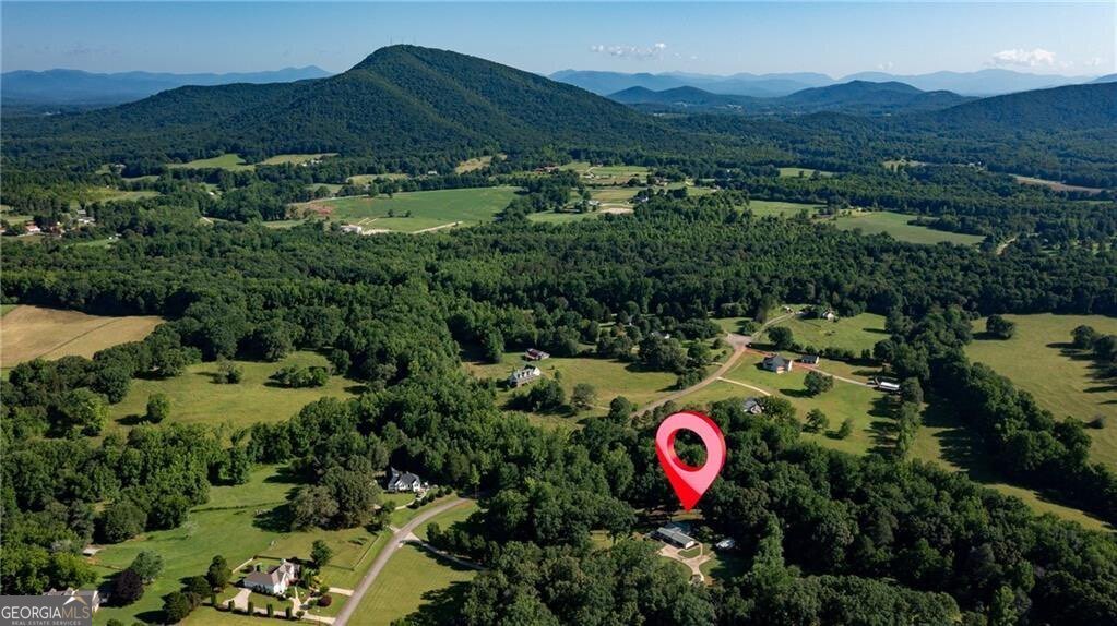 6632 Mountain Meadow Drive Clermont - Photo 76