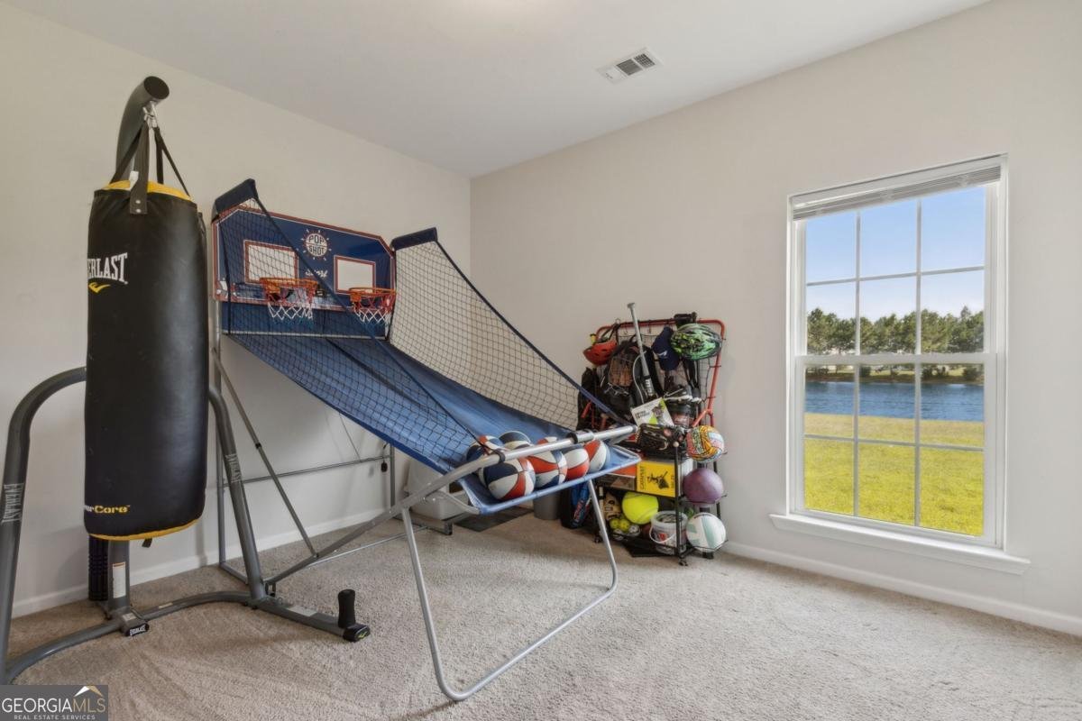 259 Daniel Trent Way Kingsland - 29
