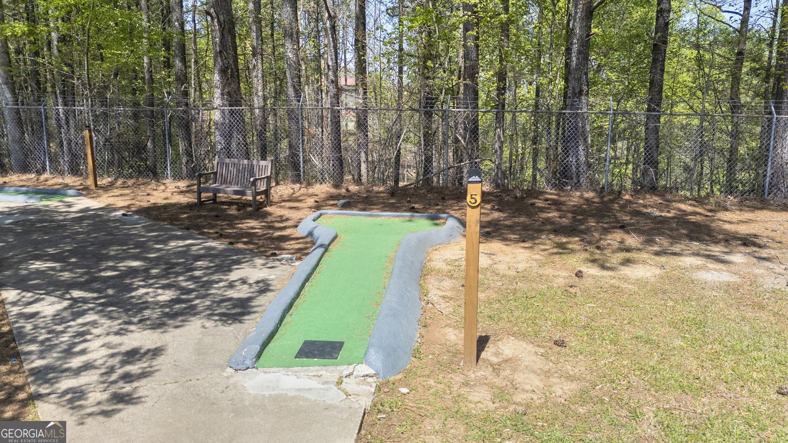 1466 NEWPORT Drive Ellijay - 7