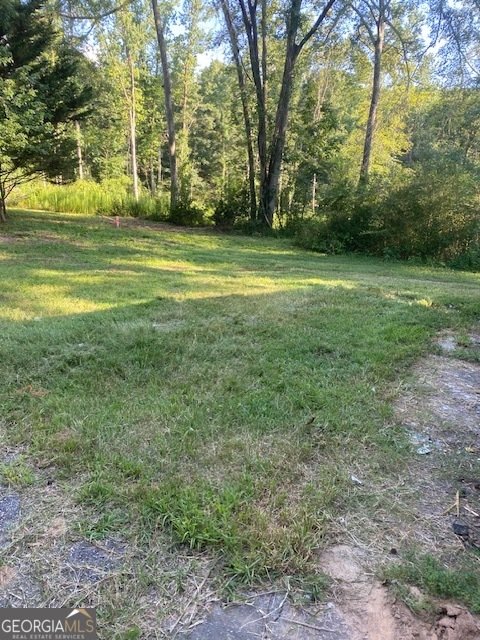 483 Greasy Creek Street Homer - 11