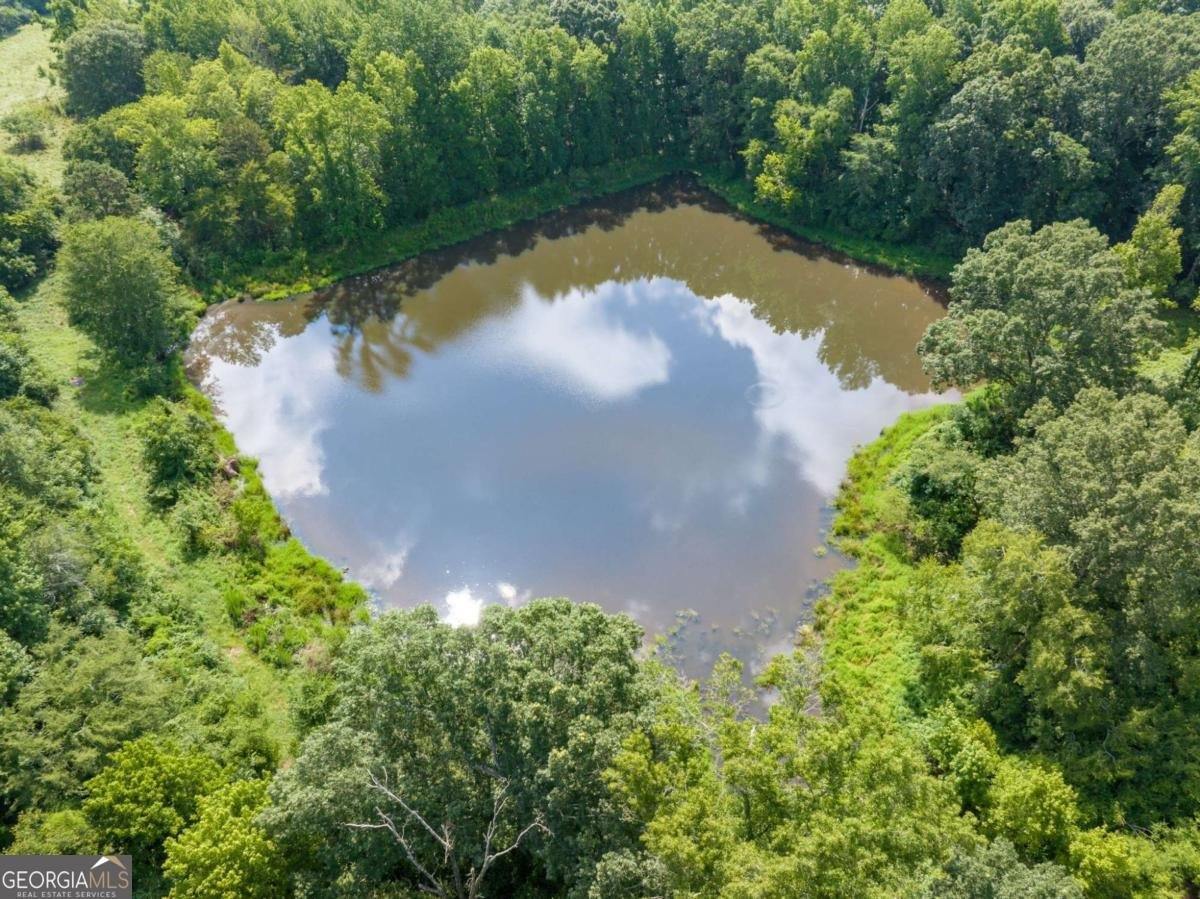 2144 Hog Mountain Road Jefferson - 23