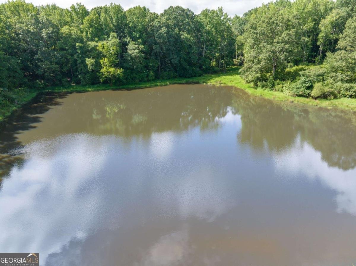 2144 Hog Mountain Road Jefferson - 24