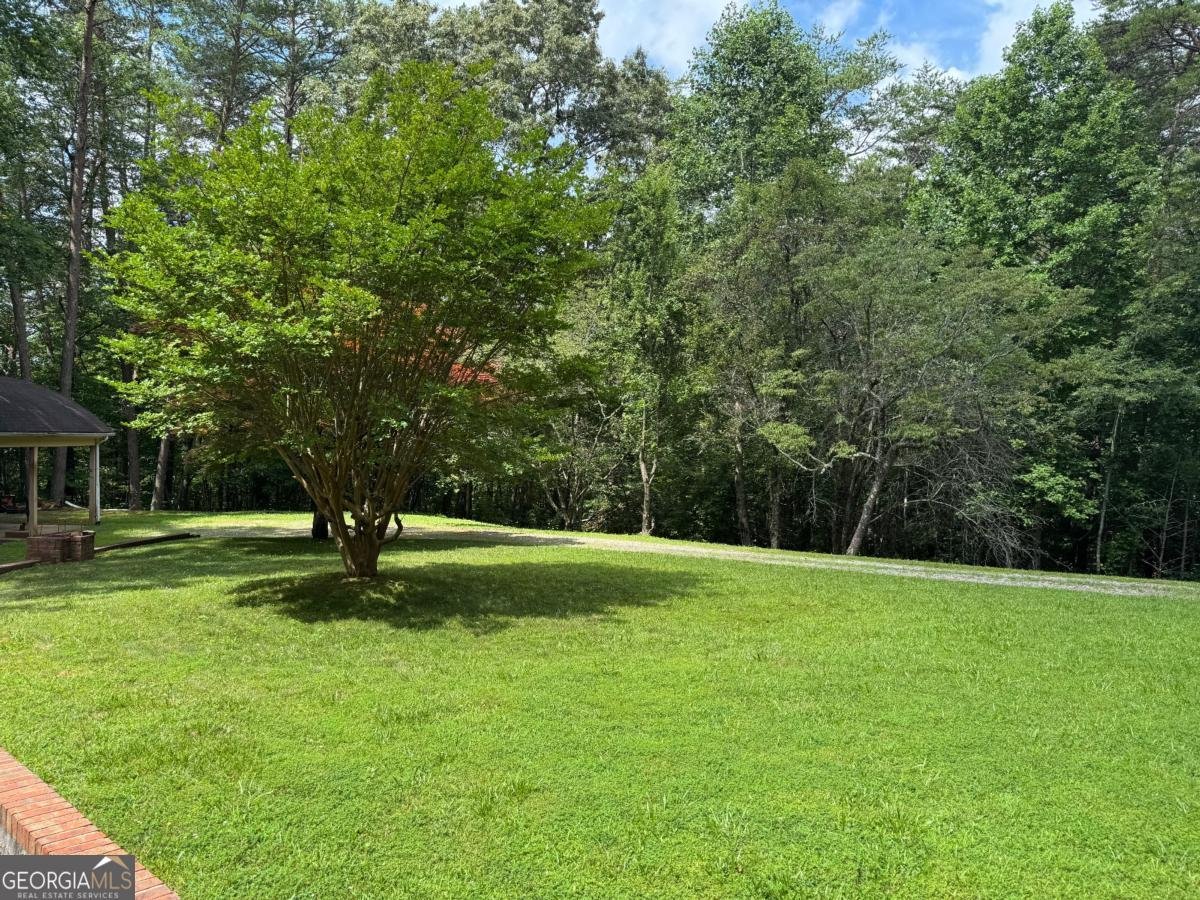 365 Quarles Lane Ellijay - 50