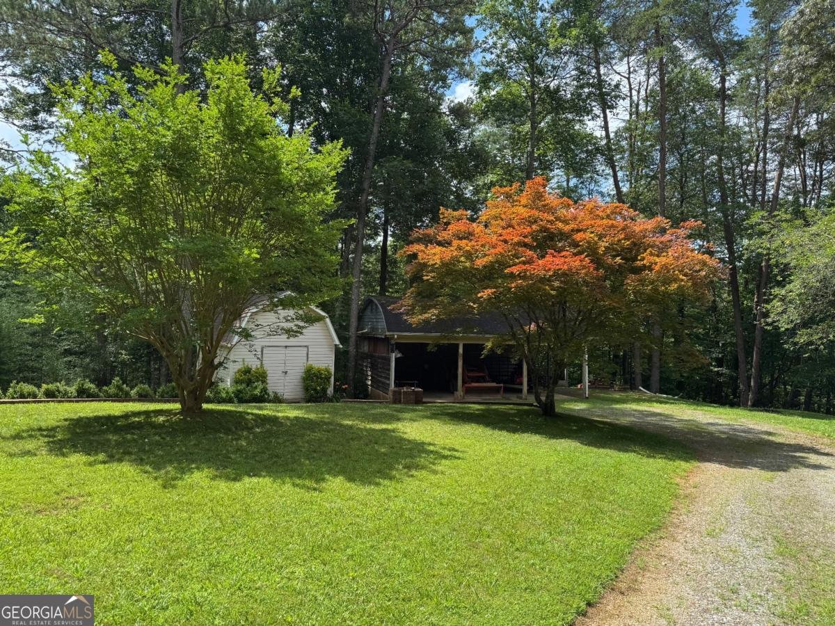 365 Quarles Lane Ellijay - 8