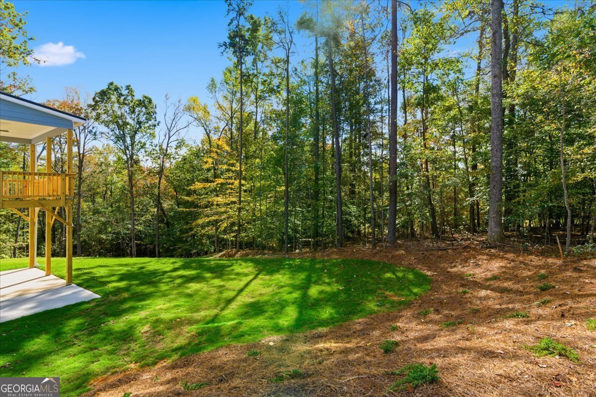 7791 Capps Ridge Lane Douglasville - 45