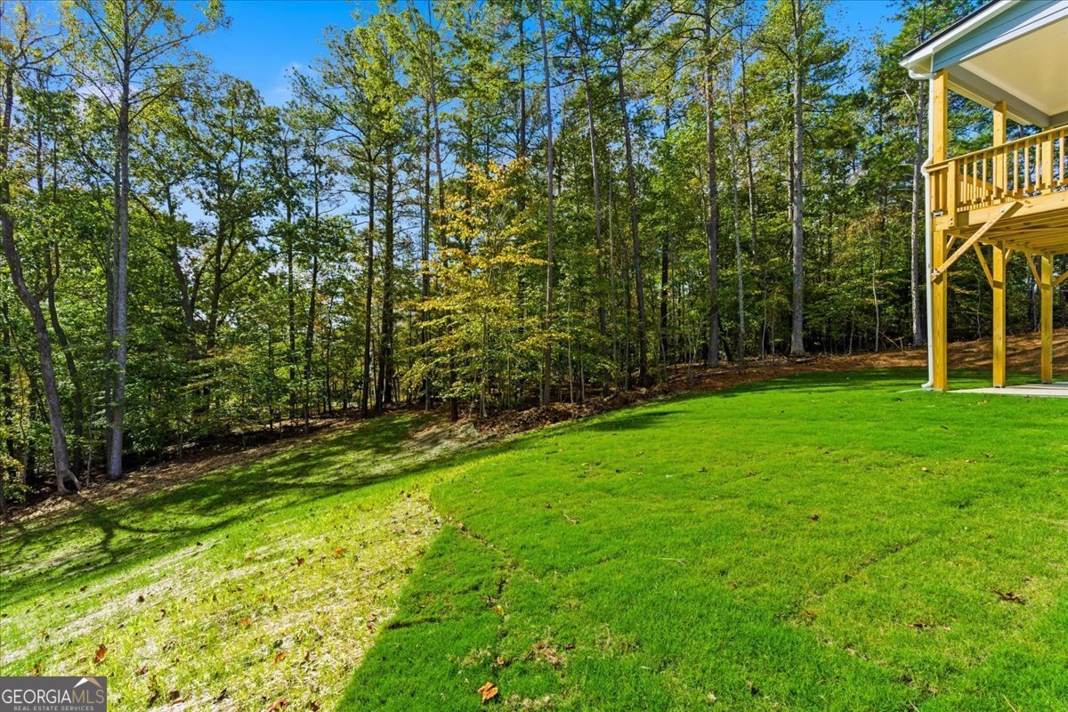 7791 Capps Ridge Lane Douglasville - 46