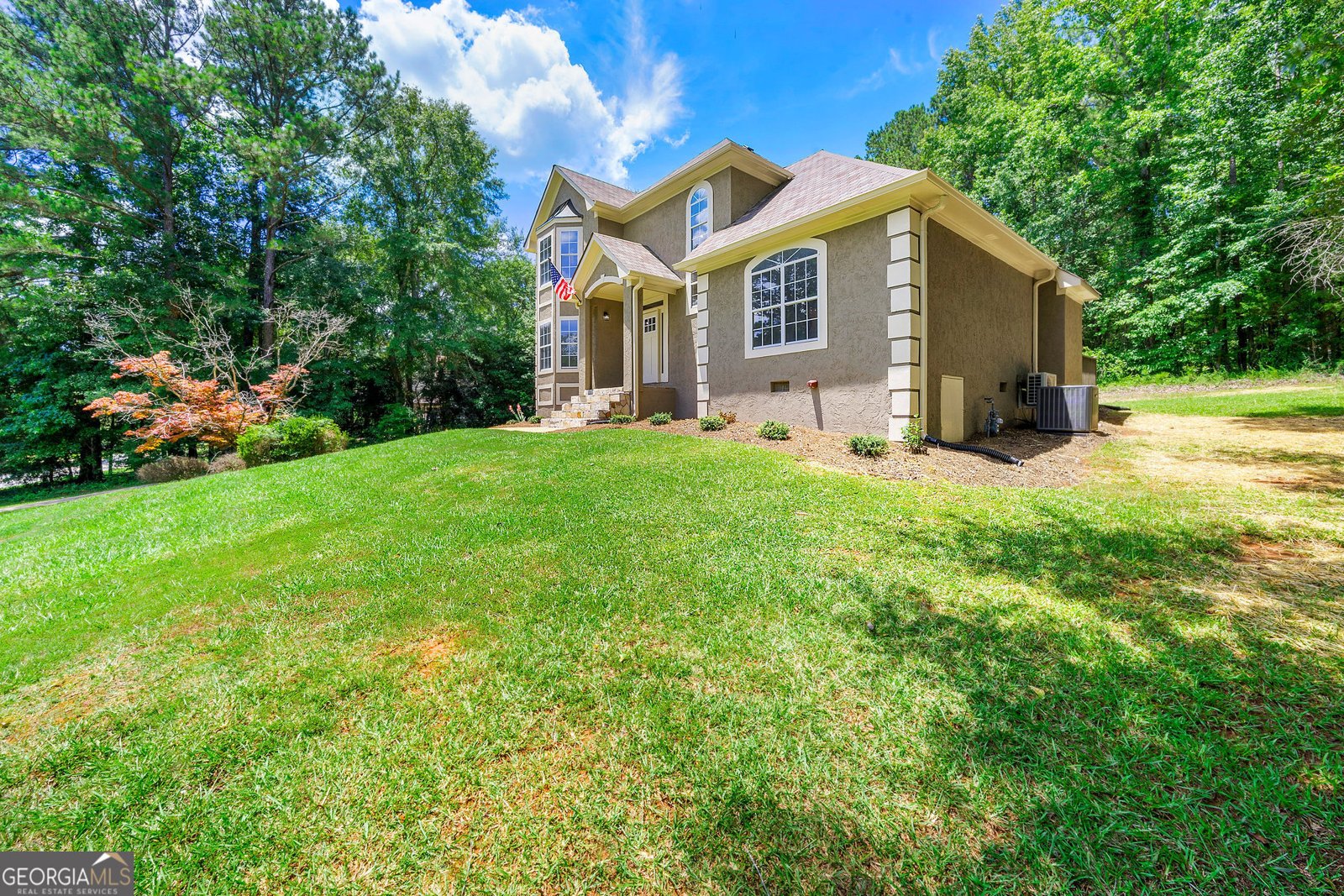 54 Spring Forest Court Sharpsburg - 3