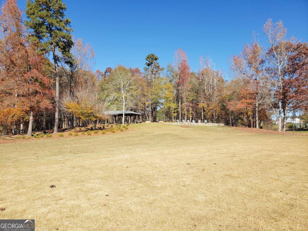 455 GREAT SALT Lane Hoschton - 57