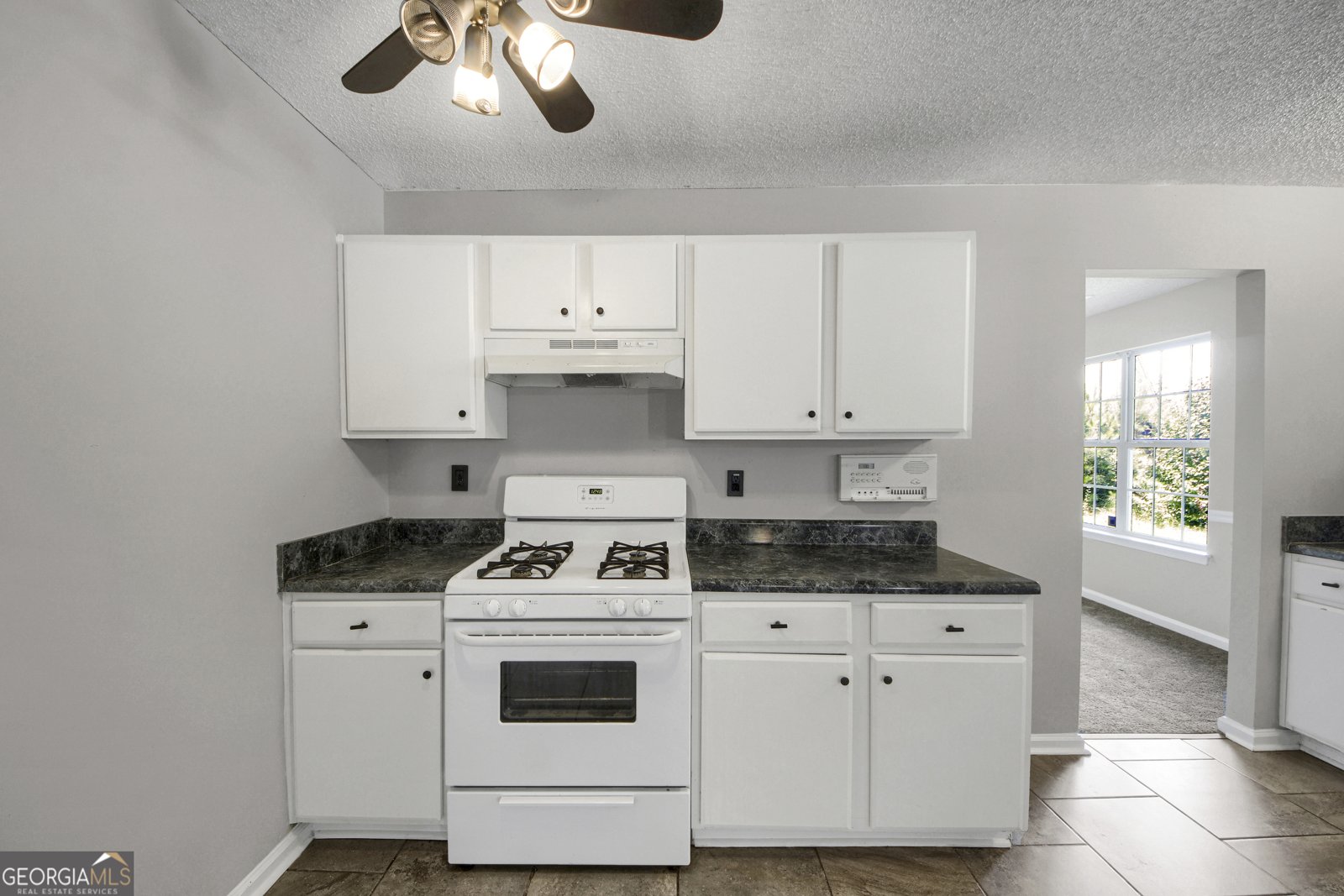6010 Crooked Creek Drive Rex - 12