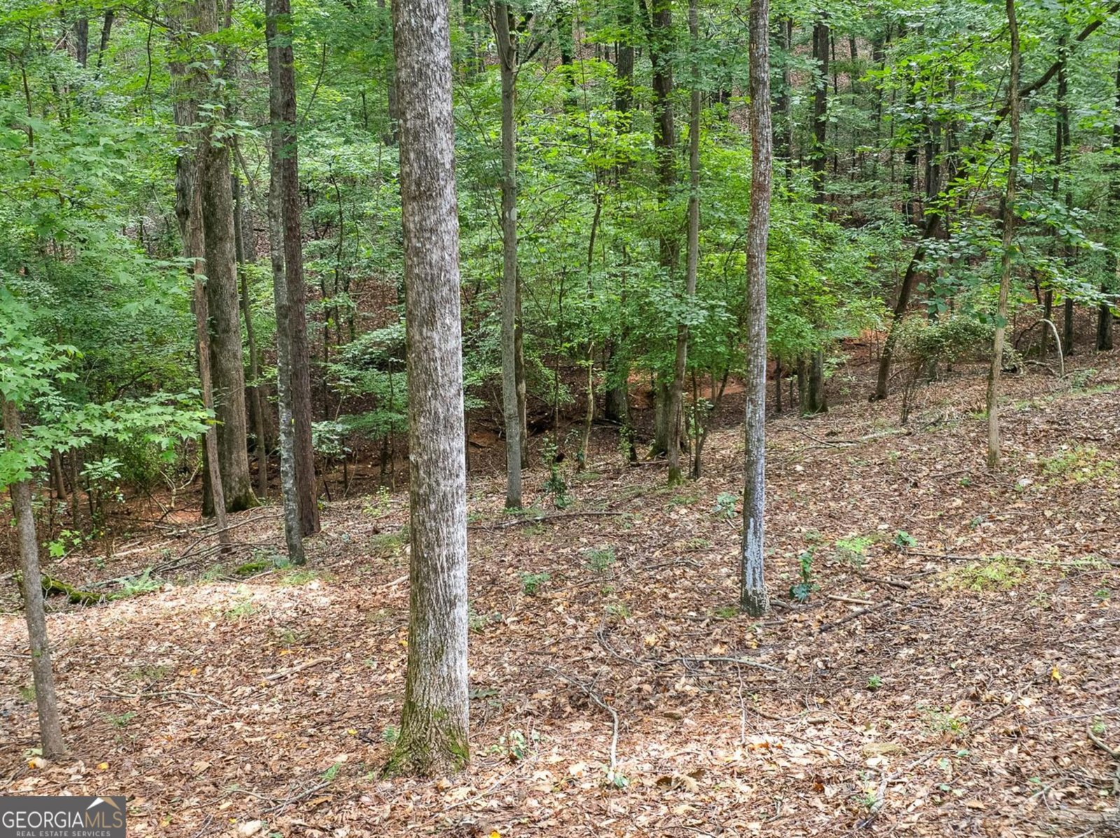 1024 Walt Banks Road Peachtree City - 43