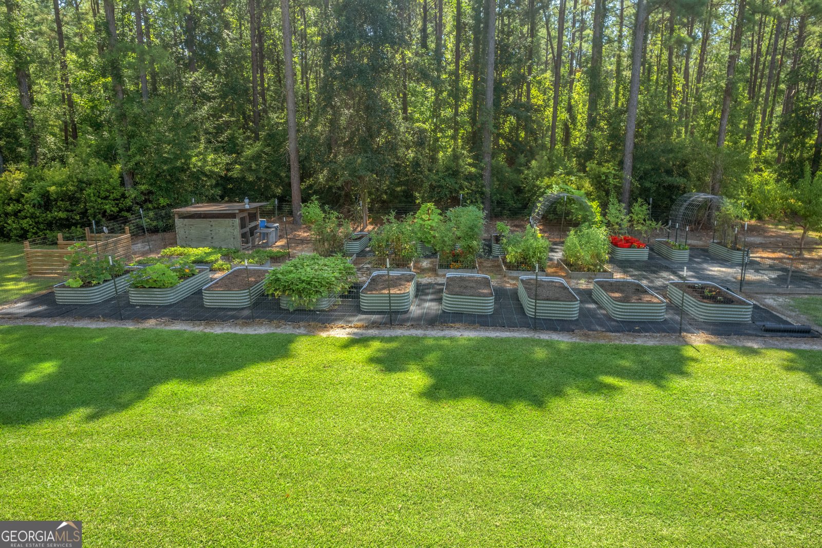 1269 Tarver Road Davisboro - 36