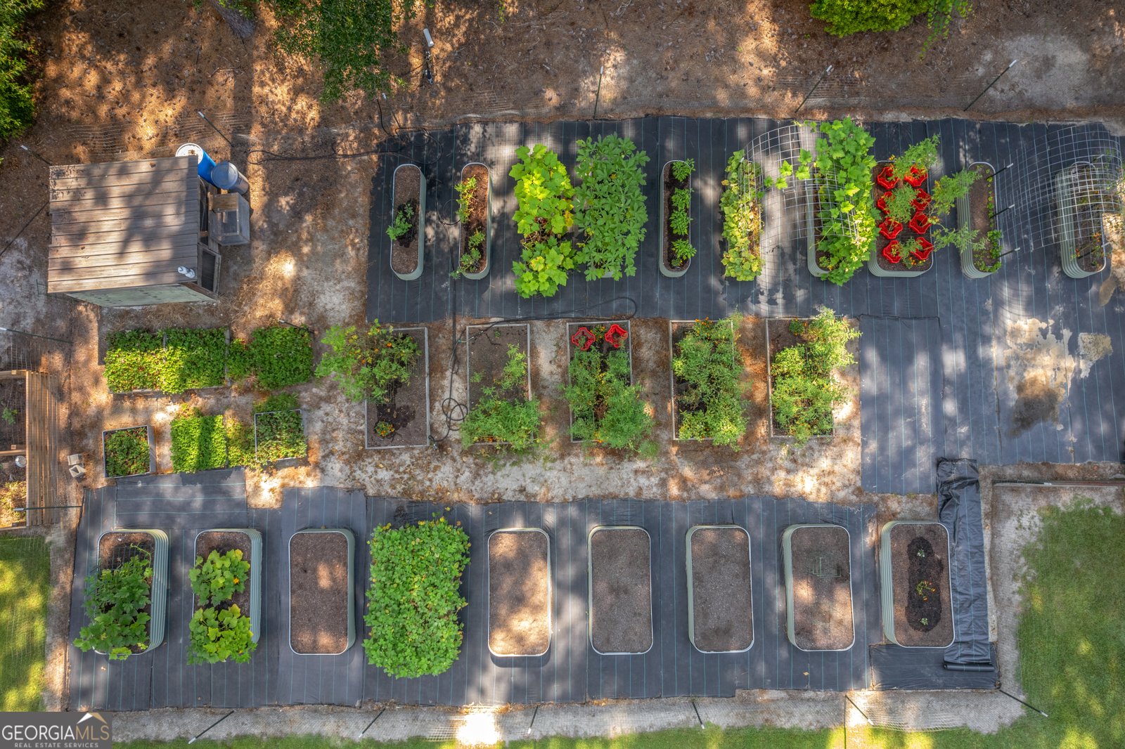 1269 Tarver Road Davisboro - 37