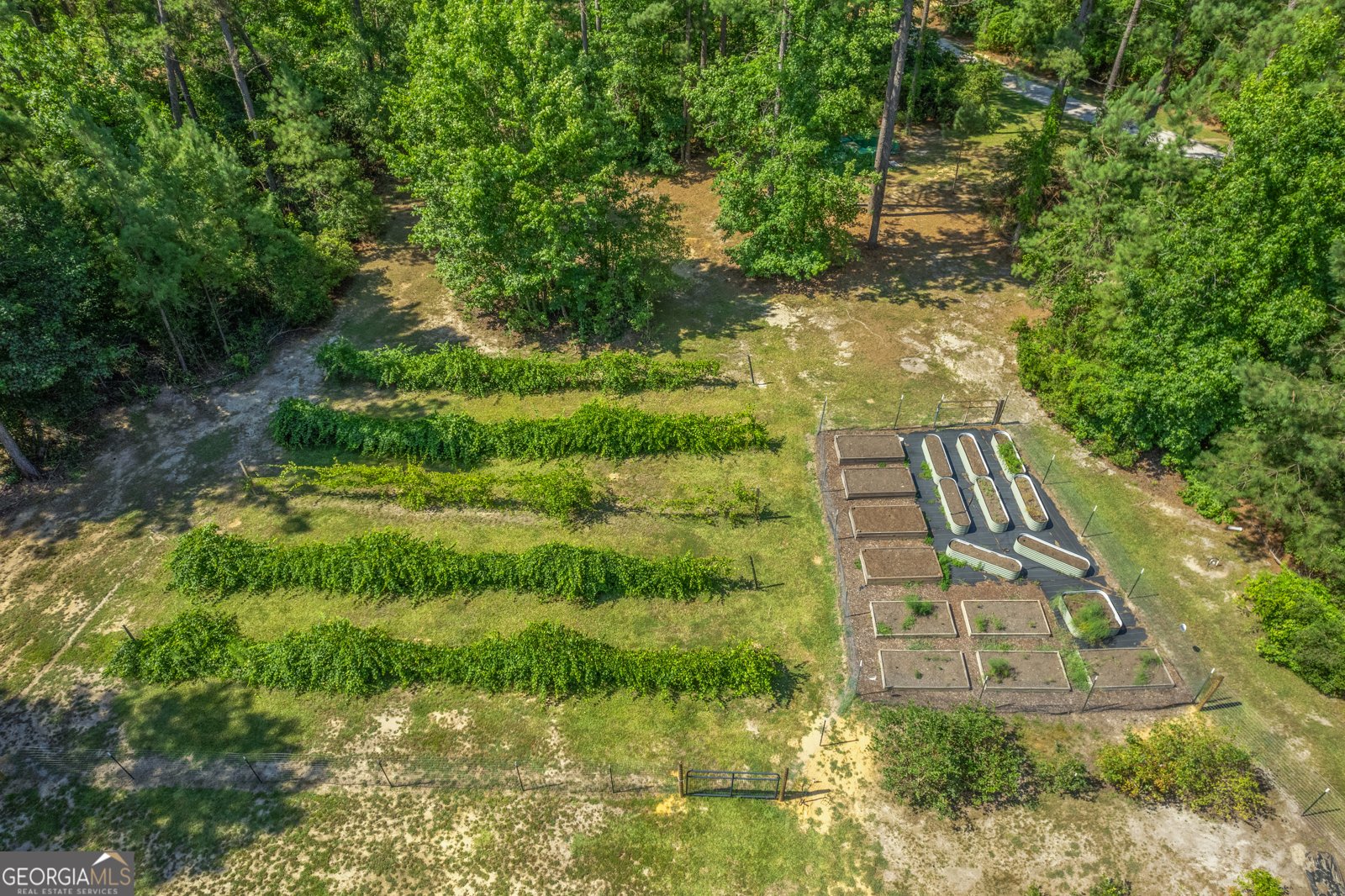 1269 Tarver Road Davisboro - 39