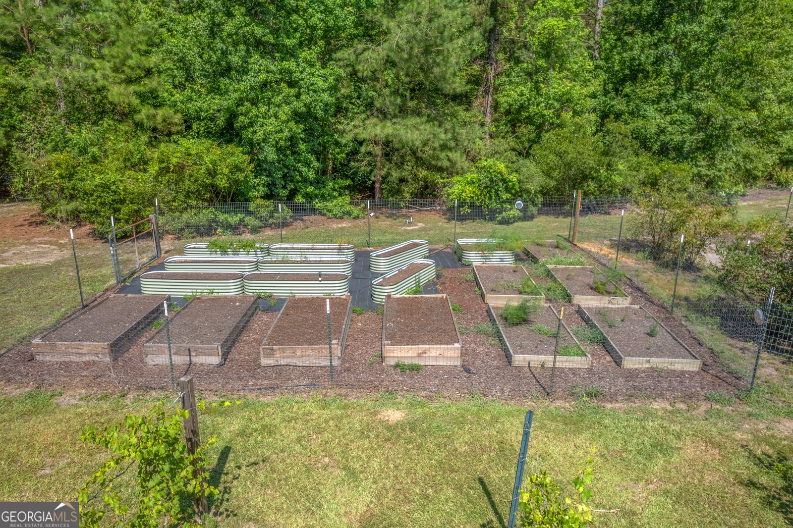 1269 Tarver Road Davisboro - 41