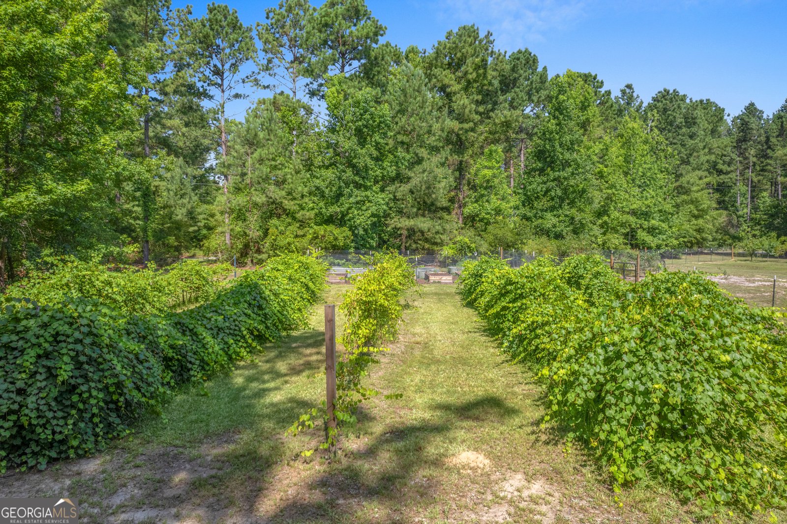 1269 Tarver Road Davisboro - 42