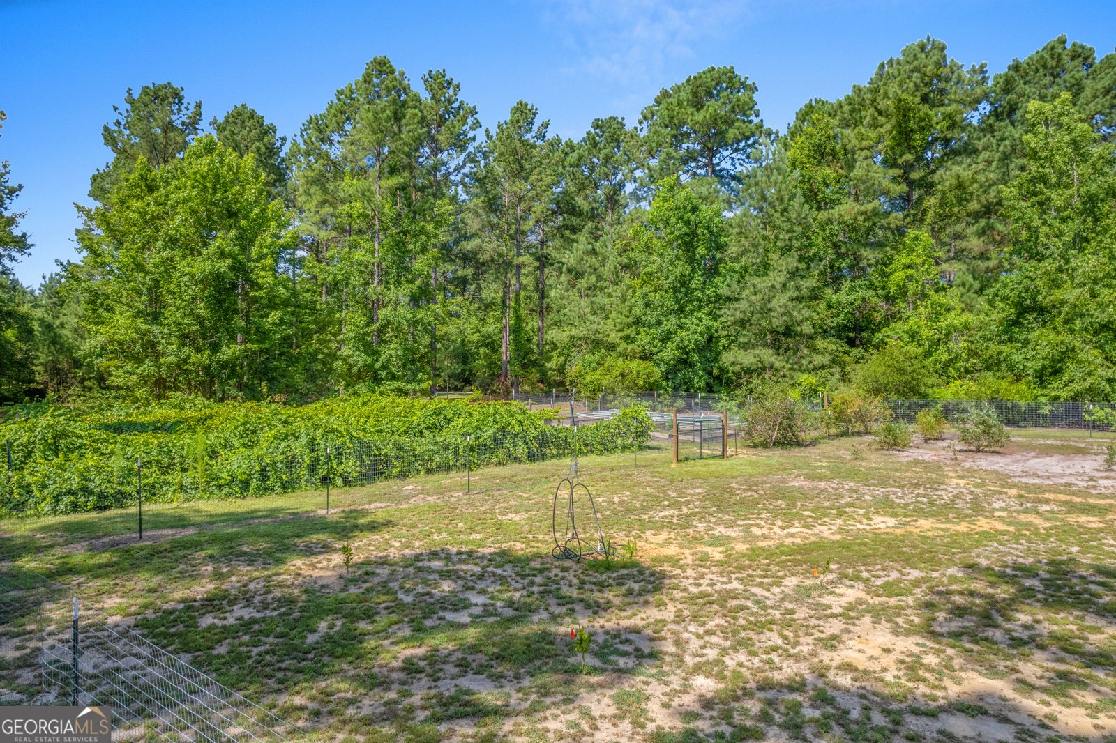 1269 Tarver Road Davisboro - 43