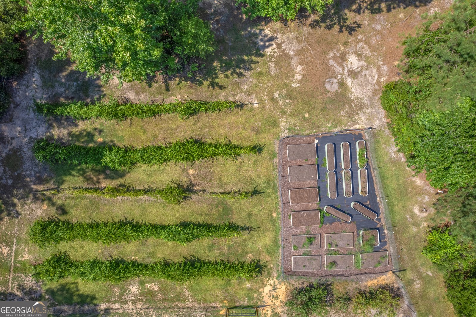 1269 Tarver Road Davisboro - 44
